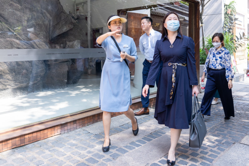 蘇惠思聽取導覽員講解古城情況。
