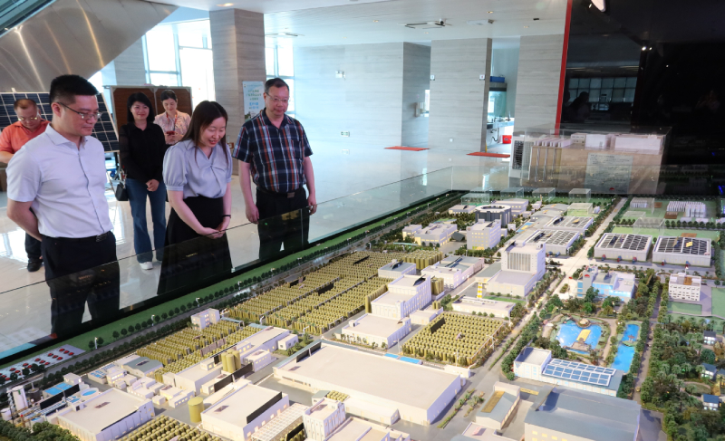 苏惠思（右二）参观酱料生产基地模型