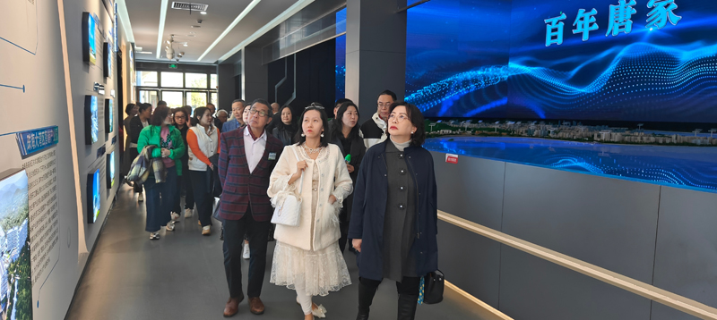 苏紫贤副主任（右一）听取投资项目介绍