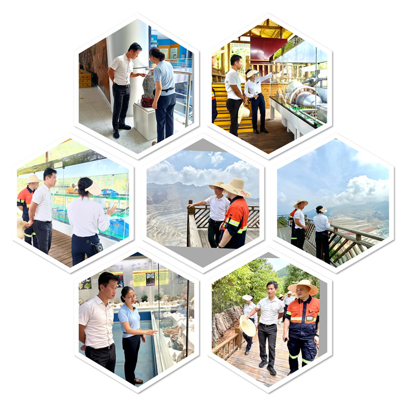 鄭震生一行人參觀企業現代化的生產線、礦山公園、礦場、植物園及博物館等