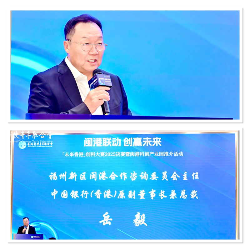 福州新区闽港合作咨询委员会主任岳毅致辞