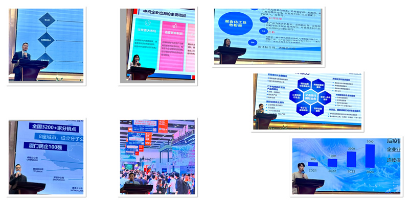 演講嘉賓分享各自「出海經驗」及解決方案可行性